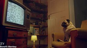 Benefit Monkey Liz Rainbow, The Blue-Eyed Girl, Ends Up With A Mouth Full Of Semen