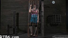four beauties locked in petite cage, ready for action
