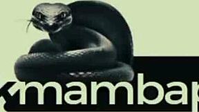 Can this horny teen handle Pato's huge black cock?