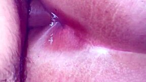 Latina Assfucked In Doggystyle Group