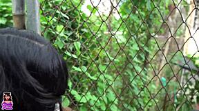 practicando boxeo golpeo al vecino y no me queda de otra que consentirlo