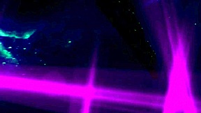 Diminutive Beauty's Rough Oral Orgasm!