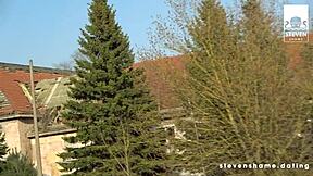 Skinny Teen 18+ Arteya Receives Good Load Of Cum In Mouth After Riding Dick Stevenshame Dating