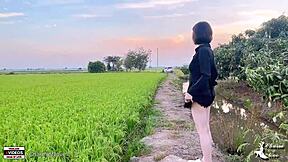 young couples having sex in rice field