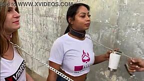 Look At Girls With Collars In Sao Paulo Exhibitionism!