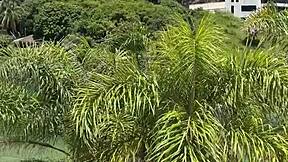 Teen Caught Stealing From Dressing Room At The Mall And Fucked My Milf And Male Guard - Milfthief