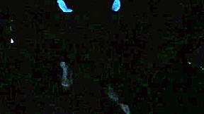 scarlett johnson blacklight sex pov 2