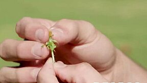 Boob bouncing bamboozle with payton preslee