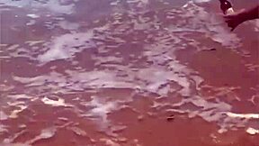 Fiquei Peladinha Na Praia!