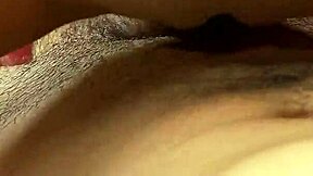 danielle cole rides big white cock doggystyle