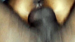 can small pussy handle big black dick?