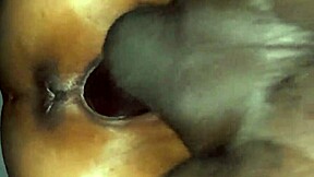 can small pussy handle big black dick?