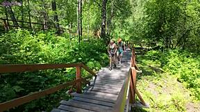 Sweet Girl With Big Ass Uses Remote Vibrator In Park For Orgasm?