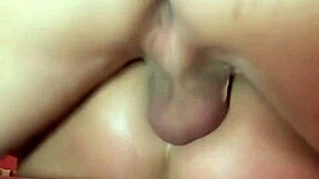 Seems Like They've Done This Before