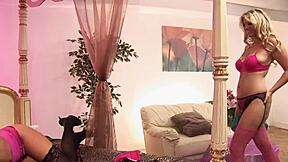 Seems Like They've Done This Before