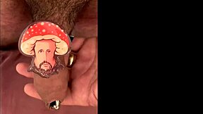 seasonal compilation gift for amateurs