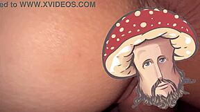 seasonal compilation gift for amateurs