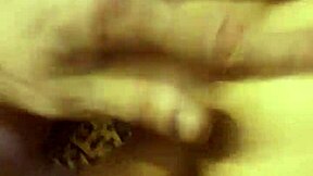 Watch Cherry and Jupiter in intimate doggystyle pov.