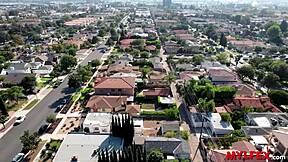 Family guy enjoys strawberry and chocolate cake at mylfex.