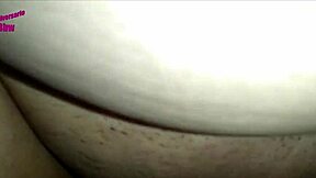 young bull fucks milf bbw with big tits and ass. the latina cuckold watches eagerly 😏