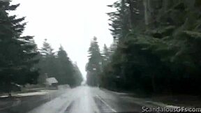 Teen hottie teases and masturbates with toys in the car