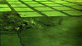 First Time Outdoor Fuck In The Sixties Style