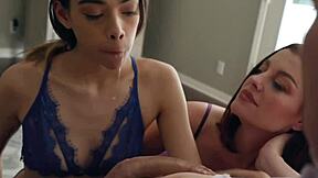 hey, foster parents are all set to give harmony wonder a happy forever home here