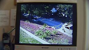 Stepdaughter Explored Interracial Encounter at Office and Stayed Committed