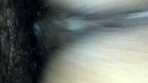 All Htown Thots Taking That Dick