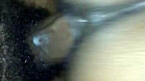 All Htown Thots Taking That Dick