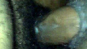 All Htown Thots Taking That Dick