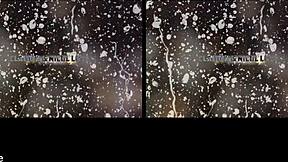 Euro lesbians pissing and fingering in virtualpee scene 😏💦