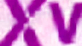 Curious About Newbie Teen Gianna Gotti's First Double Penetration? Watch Her Little Asshole Take BBC Action