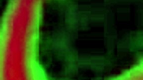 petite blonde nova cane experiences twat licking before intense fucking by rome major