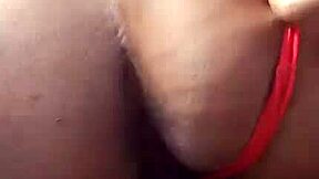 peluda se exibindo no parque ibirapuera