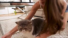 sweet teen 18+s homemade sex tape shows petite brunette riding cowgirl. she takes cumshot facial from big cock.