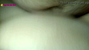 Young bull, pound my fat Latina wife hard this morning! Make me scream and cum as your cheating whore!