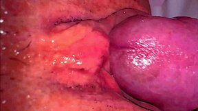 Amateur pink pussy licked 252 days after losing virginity in homemade close up