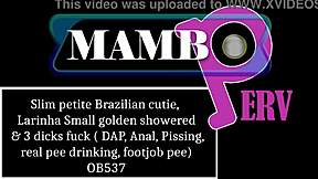 Slim petite 18+ Brazilian cutie Larinha Small gets golden showered in DAP anal dry version! She drinks real pee during footjob with slim gapes OB537!