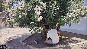 Wow, Italian gardener with big tits pays in kind with titjob! Italian dialogues