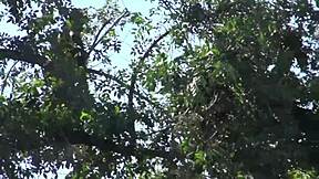 Mandy Sky Craves Harder Fat Cock Pounding Begs Loudly