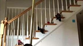 chinese teen alexandria teases gaping holes in sexy promos