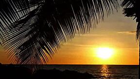 creampied besties fight over black bull's huge cock 😈💦