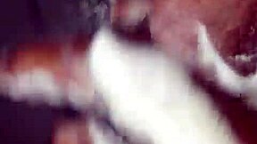 Wetjuicypussy1's juicy solo for african lovers only