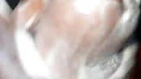 Wetjuicypussy1's juicy solo for african lovers only