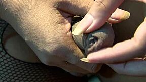 Tranny in fishnets fists gaping asshole on bed