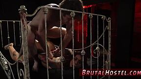 Felicity Feline's wild tourist adventure gets extreme