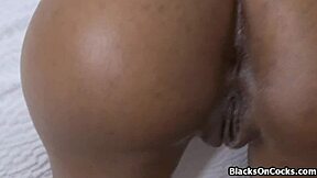 black amateur teen gets pounded hard pov doggystyle during intense casting interview session