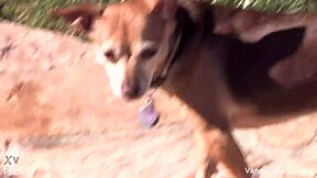 Vanessa Cage Teases Pussy And Tits Backstage!