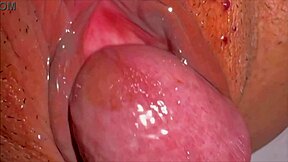 amateur wife's shaved pussy up close 338 days post virginity loss